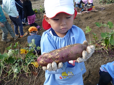 f:id:mikokoroblog:20141027133509j:image f:id:mikokoroblog:20141027133509j:image