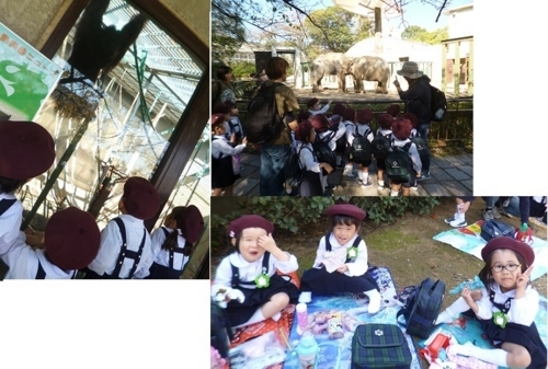 f:id:mikokoroblog:20171106183240j:image f:id:mikokoroblog:20171106183240j:image