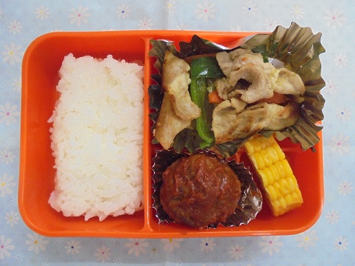 f:id:mikokoroblog:20190228131732j:plain