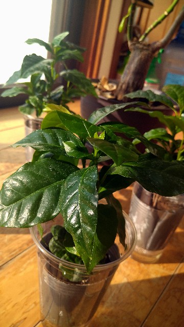 f:id:mikomikomi-ko:20250930083155j:image f:id:mikomikomi-ko:20250930083155j:image