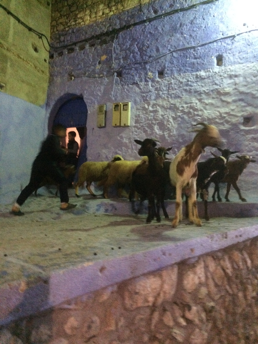 f:id:mikonacolon:20200529114130j:plain