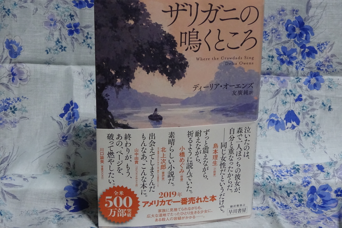 f:id:mikonacolon:20200722102655j:plain