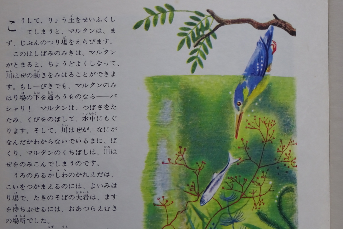 f:id:mikonacolon:20201110204930j:plain