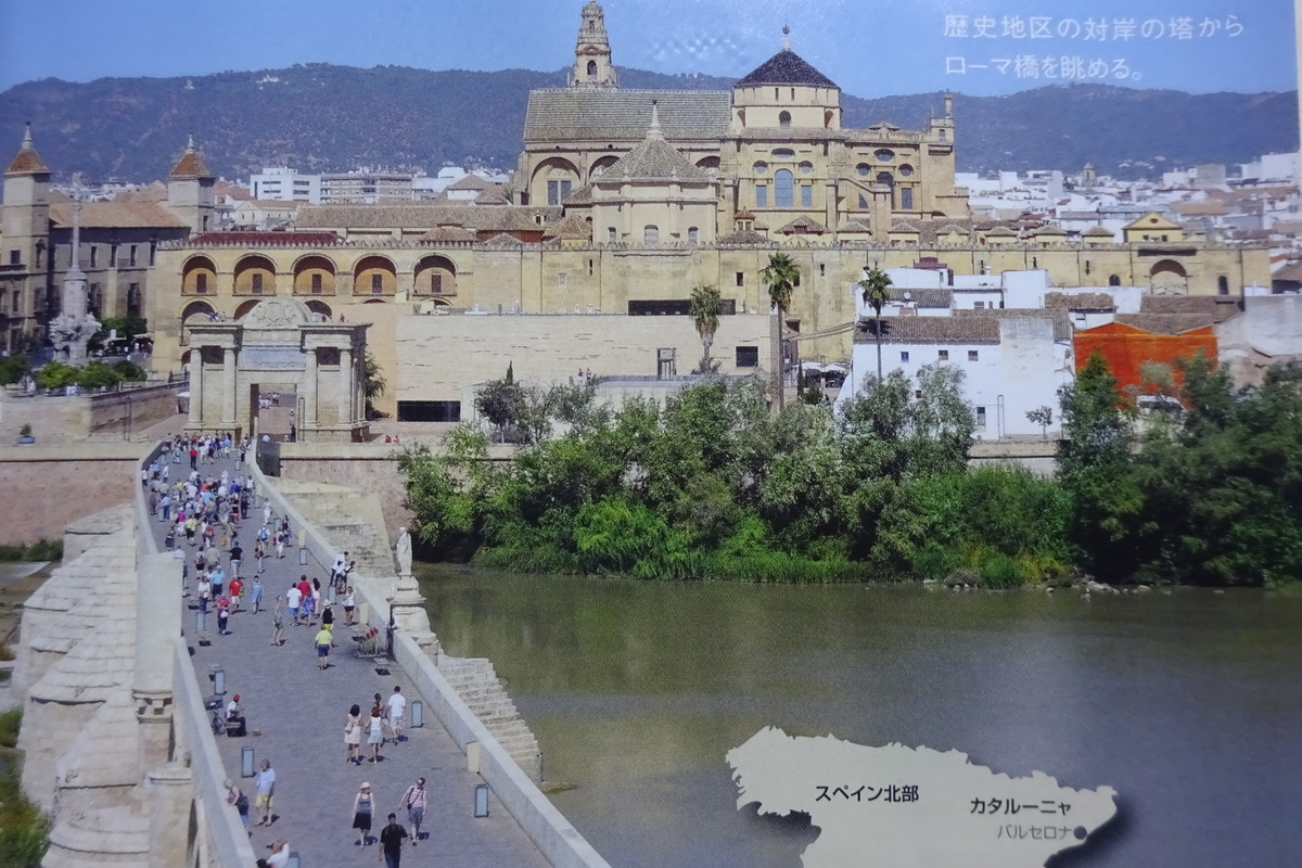 f:id:mikonacolon:20211113183834j:plain