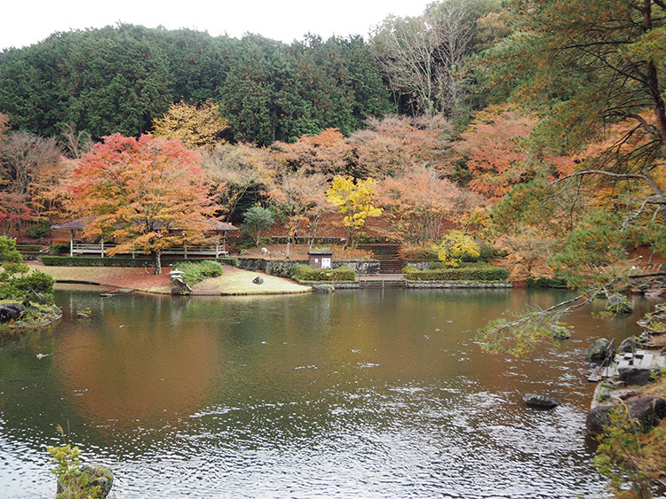 f:id:mikonekogorira:20161211225025j:plain f:id:mikonekogorira:20161211225025j:plain