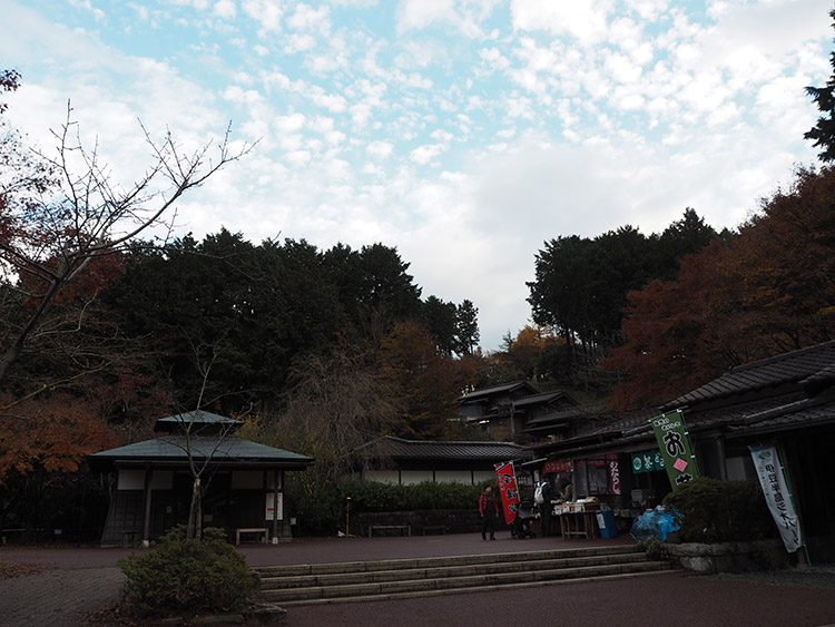 f:id:mikonekogorira:20161211225653j:plain f:id:mikonekogorira:20161211225653j:plain