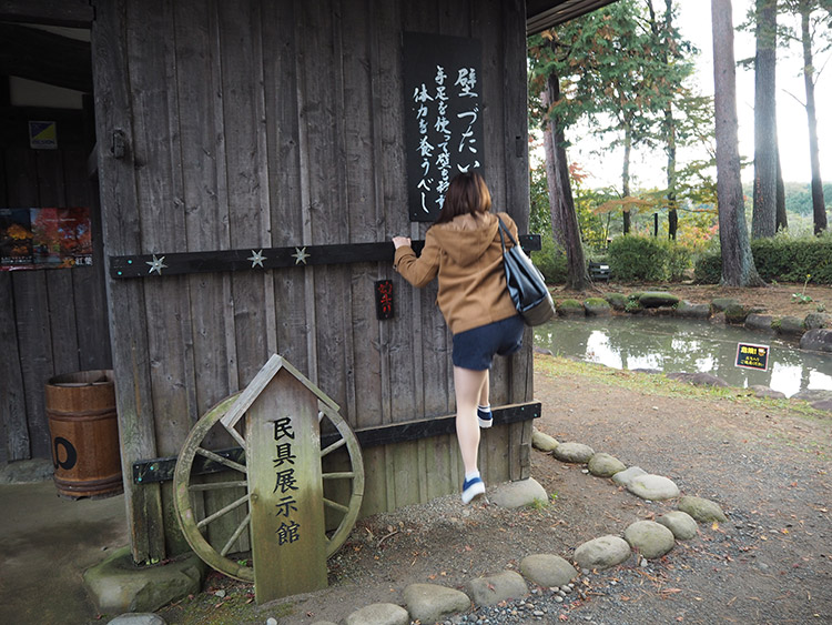 f:id:mikonekogorira:20161212060144j:plain f:id:mikonekogorira:20161212060144j:plain