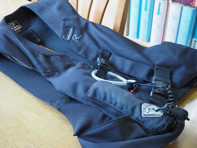 f:id:mikonekogorira:20170102230019j:plain