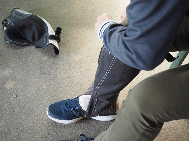 f:id:mikonekogorira:20170102230201j:plain