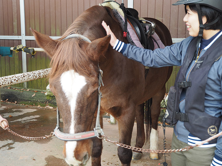 f:id:mikonekogorira:20170102230637j:plain