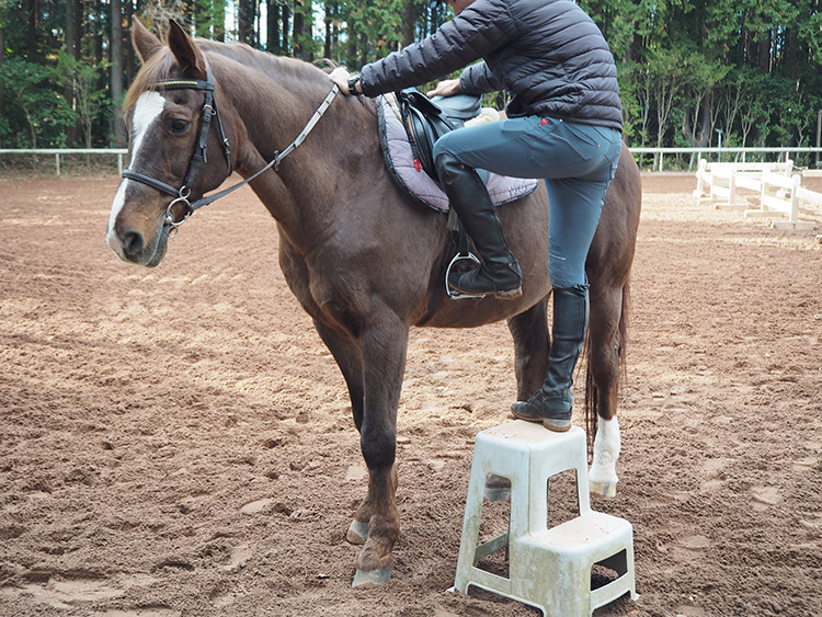 f:id:mikonekogorira:20170102233026j:plain