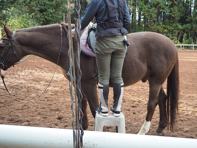 f:id:mikonekogorira:20170103002731j:plain