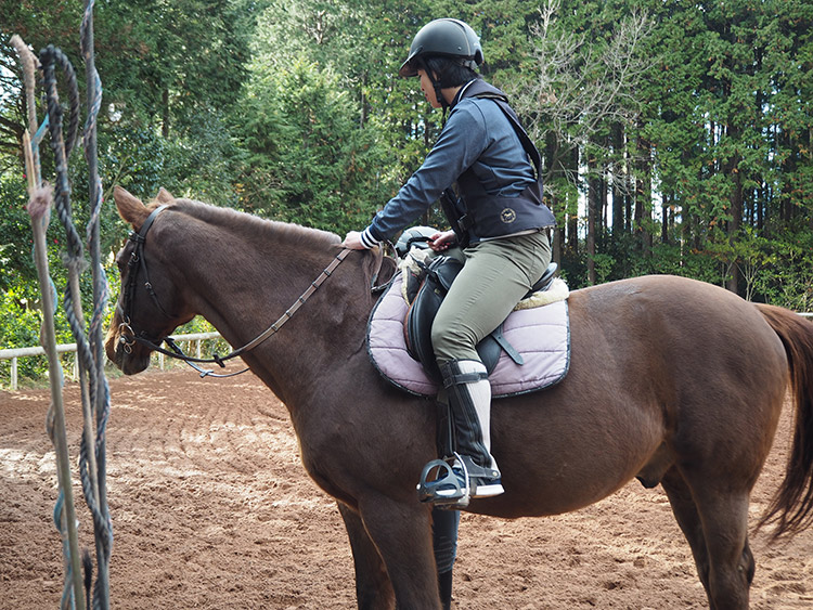 f:id:mikonekogorira:20170103002812j:plain