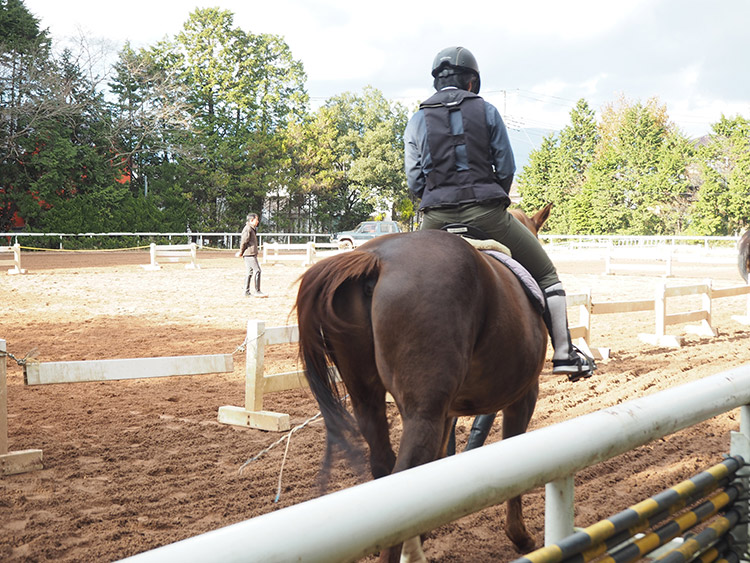 f:id:mikonekogorira:20170103002943j:plain