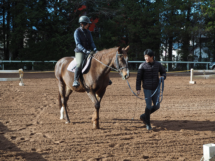 f:id:mikonekogorira:20170103003050j:plain