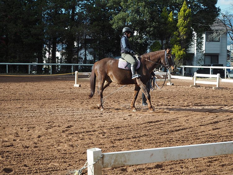 f:id:mikonekogorira:20170103221950j:plain