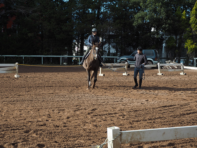 f:id:mikonekogorira:20170103223351j:plain