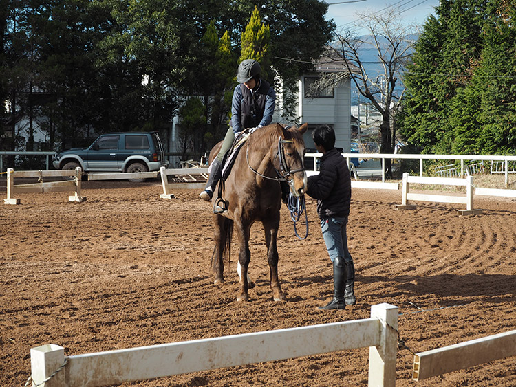 f:id:mikonekogorira:20170103224512j:plain