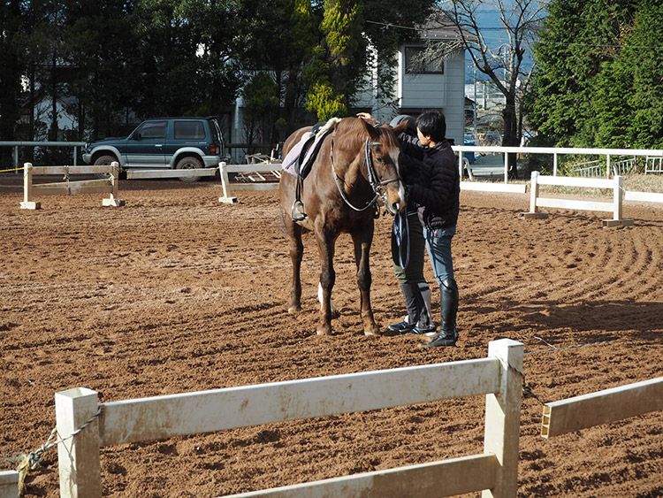 f:id:mikonekogorira:20170103224532j:plain