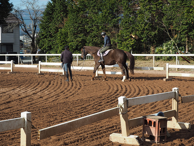 f:id:mikonekogorira:20170103224625j:plain