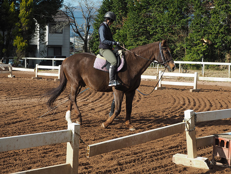 f:id:mikonekogorira:20170103224646j:plain