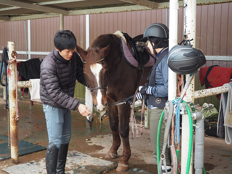 f:id:mikonekogorira:20170103225457j:plain