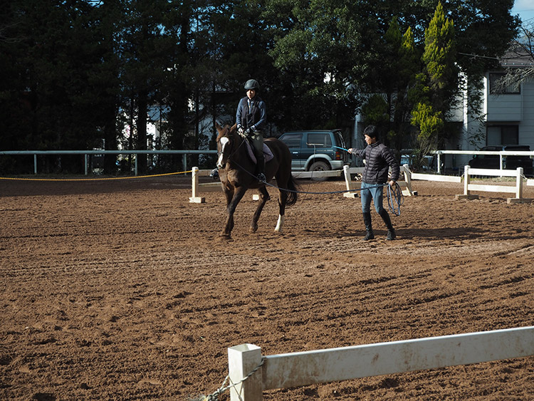 f:id:mikonekogorira:20170103231106j:plain