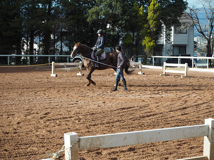 f:id:mikonekogorira:20170103231834j:plain