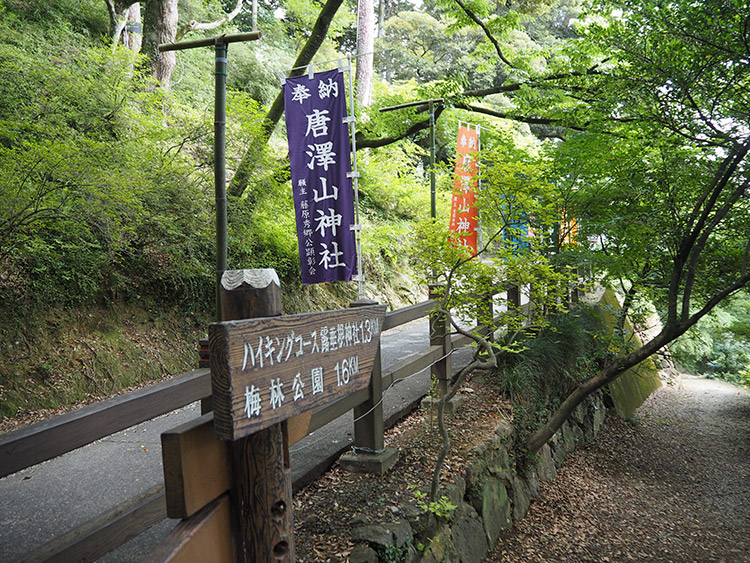 f:id:mikonekogorira:20180721190943j:plain f:id:mikonekogorira:20180721190943j:plain