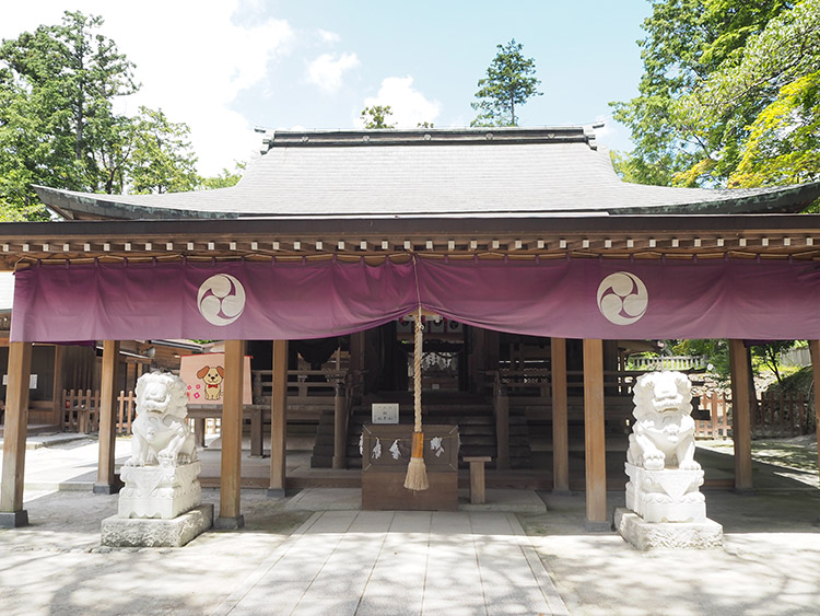 f:id:mikonekogorira:20180721191301j:plain f:id:mikonekogorira:20180721191301j:plain
