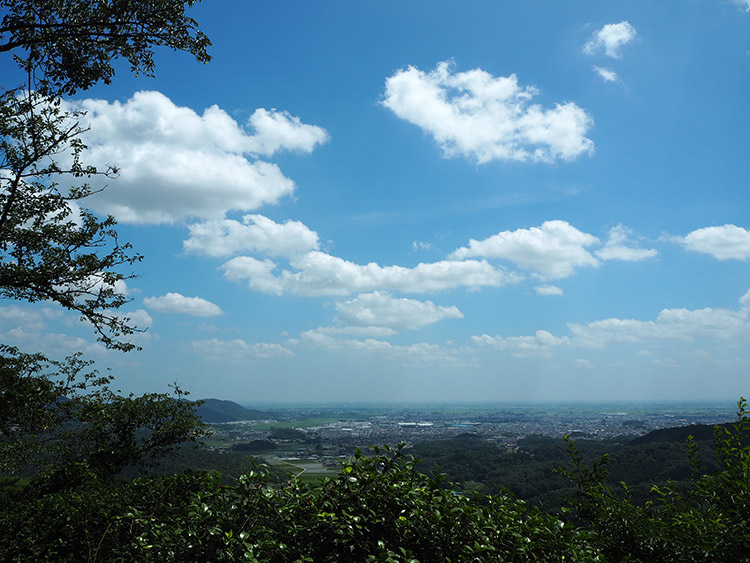 f:id:mikonekogorira:20180721192026j:plain f:id:mikonekogorira:20180721192026j:plain