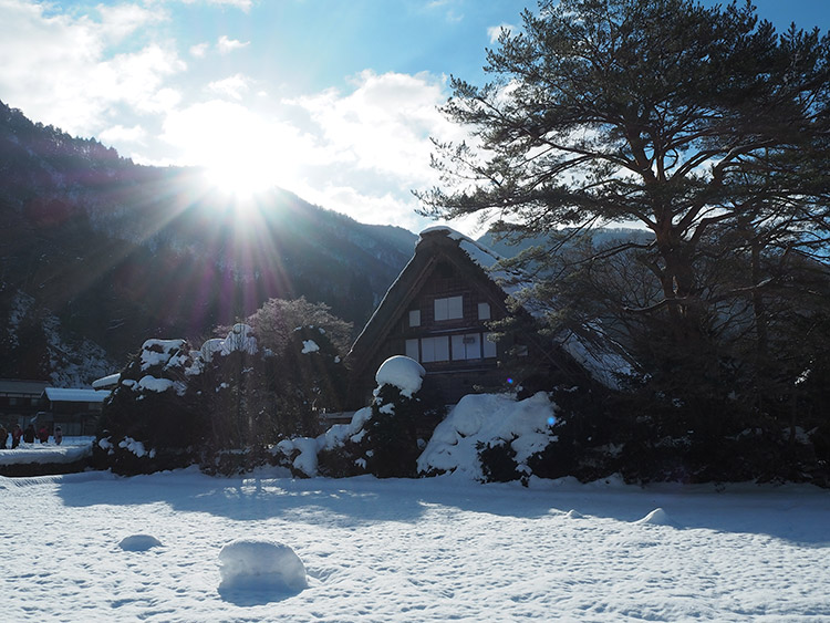 f:id:mikonekogorira:20190126205945j:plain f:id:mikonekogorira:20190126205945j:plain