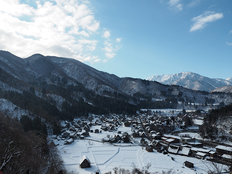 f:id:mikonekogorira:20190127115846j:plain f:id:mikonekogorira:20190127115846j:plain