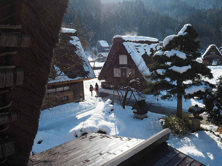 f:id:mikonekogorira:20190127201758j:plain f:id:mikonekogorira:20190127201758j:plain