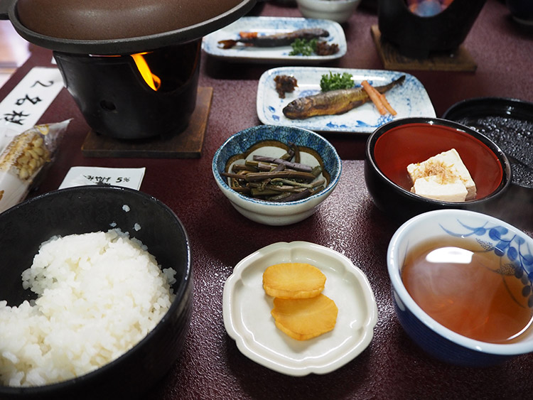 f:id:mikonekogorira:20190127205629j:plain f:id:mikonekogorira:20190127205629j:plain