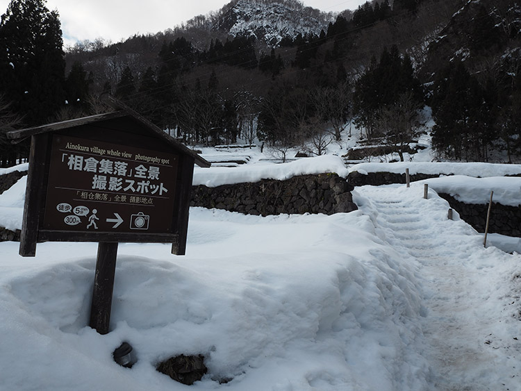f:id:mikonekogorira:20190201210511j:plain f:id:mikonekogorira:20190201210511j:plain