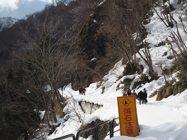 f:id:mikonekogorira:20190203134733j:plain f:id:mikonekogorira:20190203134733j:plain