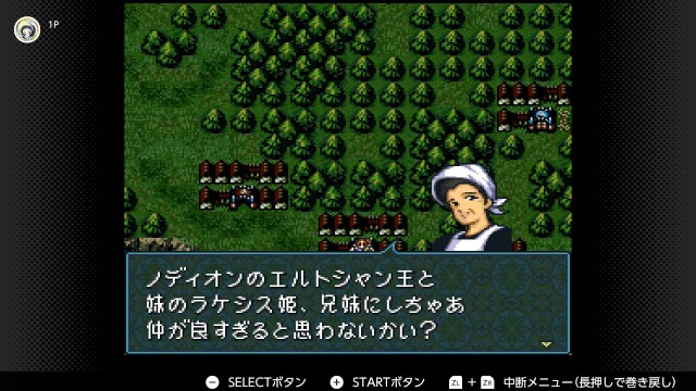f:id:mikonoha:20250102170729j:image