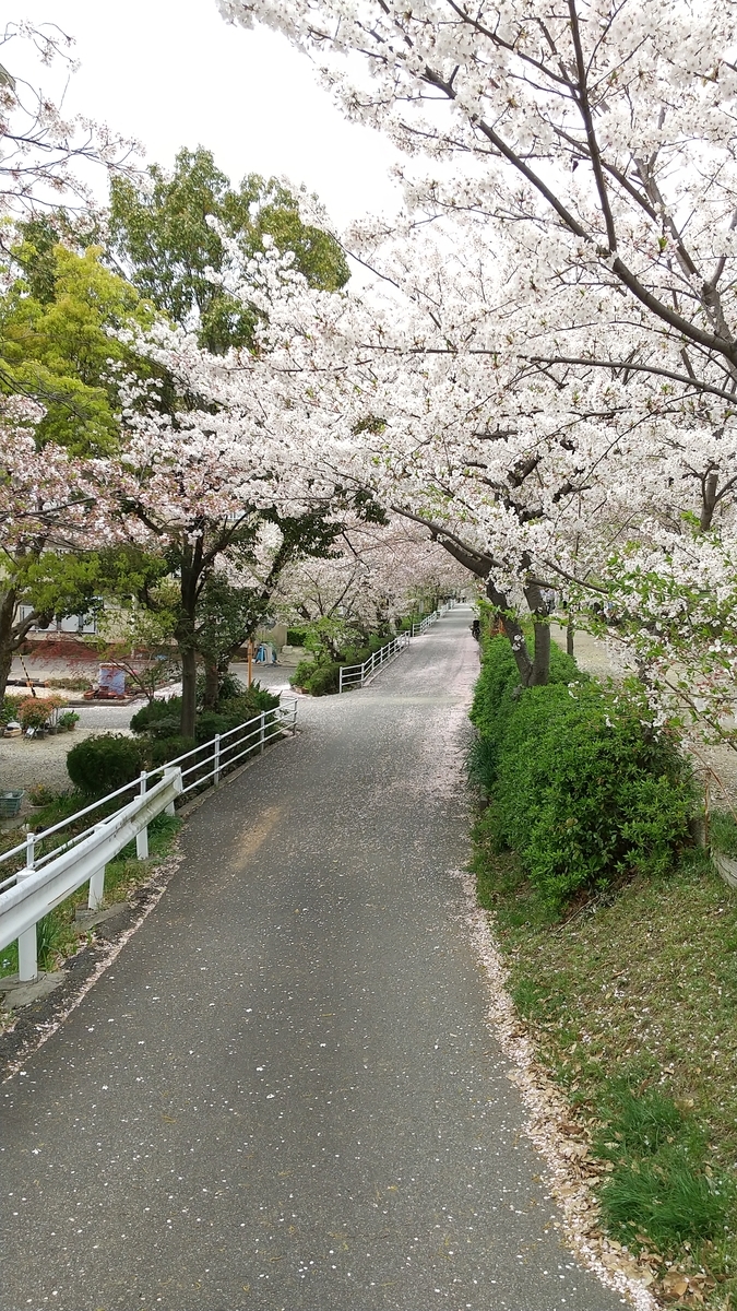 f:id:mikonohana:20210404155200j:plain