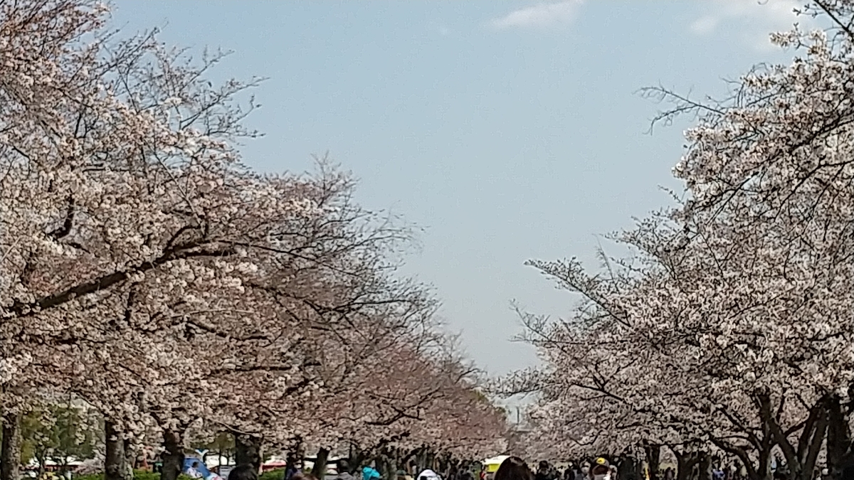 f:id:mikonohana:20210404160436j:plain
