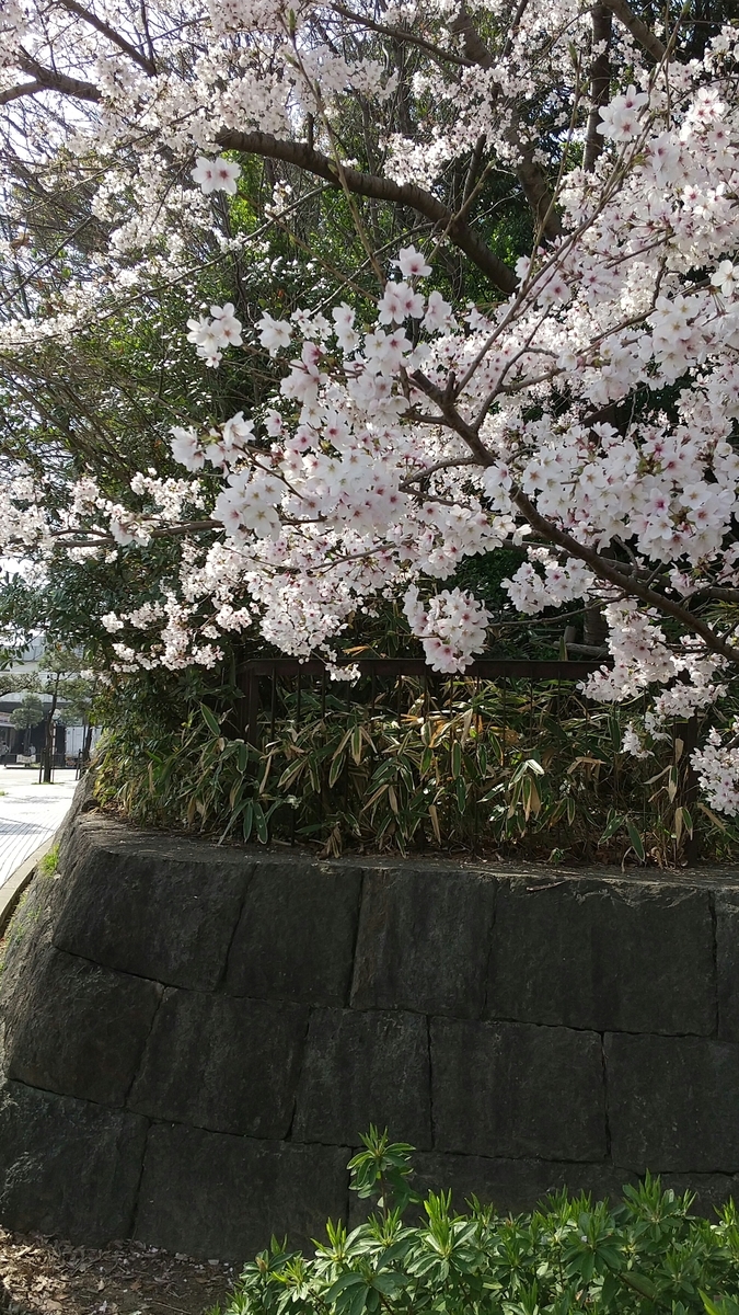 f:id:mikonohana:20210404160841j:plain