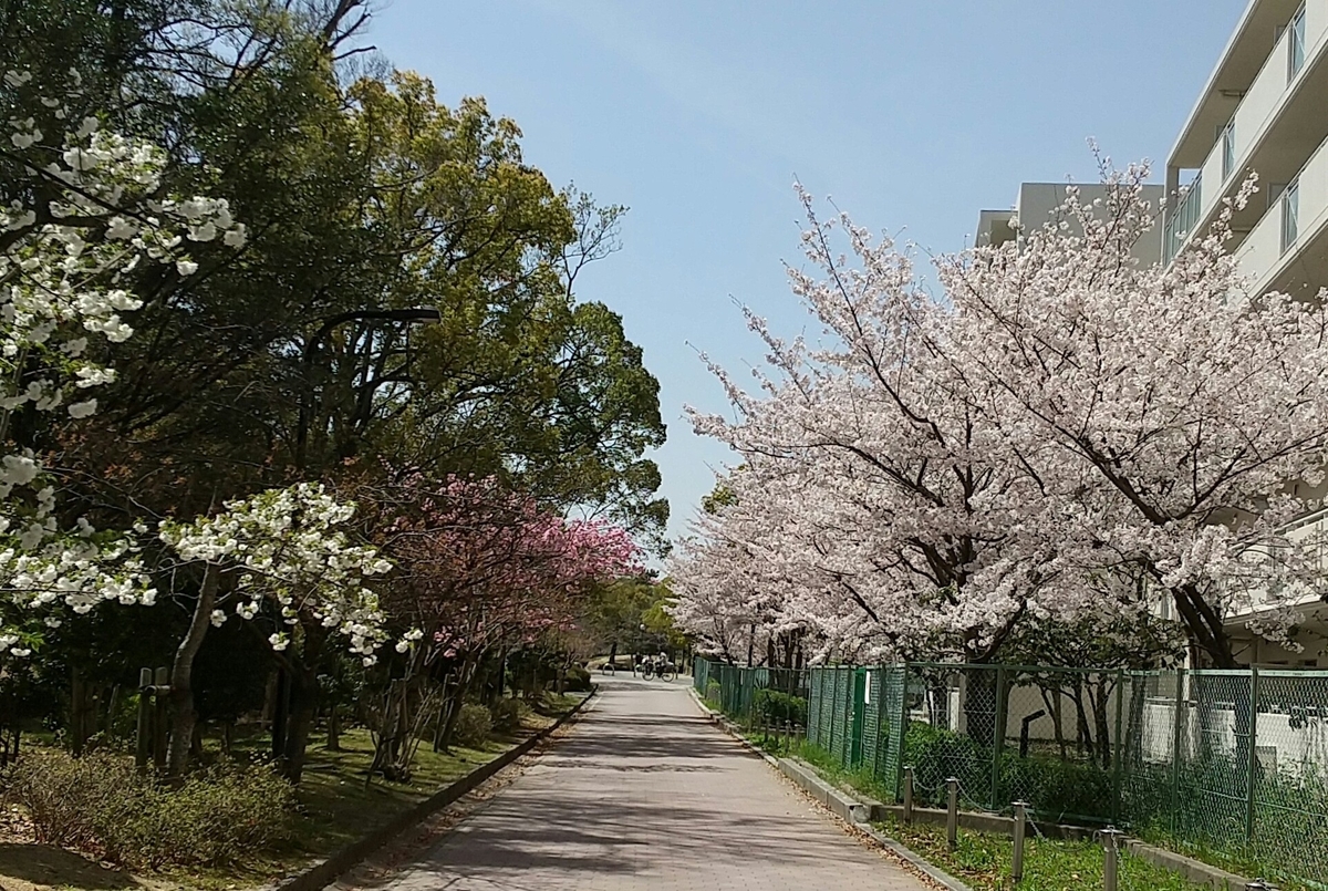 f:id:mikonohana:20210404161223j:plain