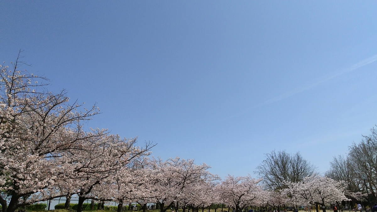 f:id:mikonohana:20210404161356j:plain
