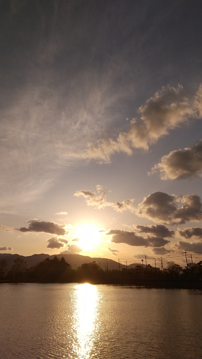 f:id:mikonohana:20210426164326j:plain