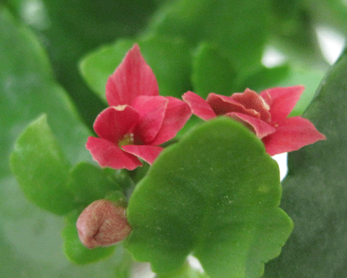 f:id:mikota_junichi_jcp:20100605215430g:image