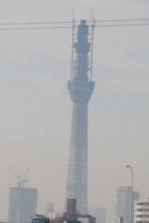 f:id:mikota_junichi_jcp:20101201231648g:image