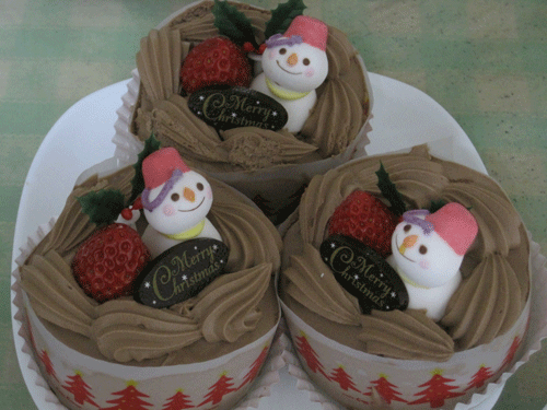 f:id:mikota_junichi_jcp:20101224233216g:image