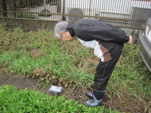 f:id:mikota_junichi_jcp:20111120222634g:image f:id:mikota_junichi_jcp:20111120222634g:image