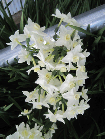 f:id:mikota_junichi_jcp:20120325230529g:image