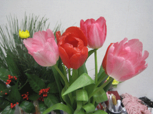 f:id:mikota_junichi_jcp:20130103233607g:image